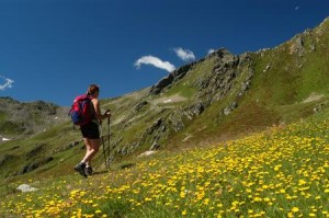 Nordic Walking in Val di Sole